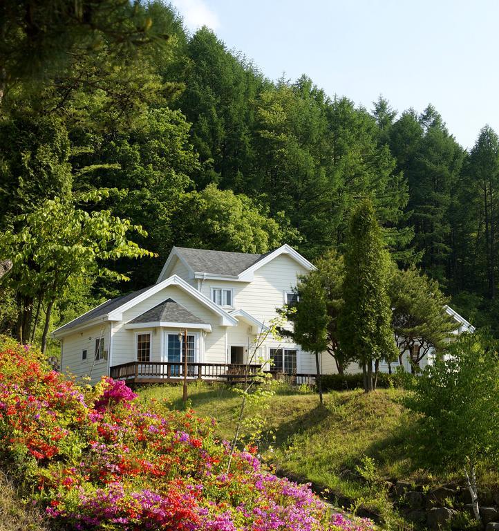 Resort Feliz Pyeongchang Exterior foto